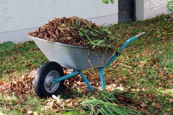 Den Garten winterfest machen - wohin mit dem Herbstlaub?